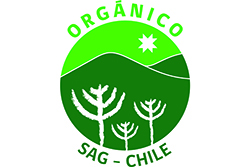 Chile Agricultura Orgánica — reference preview