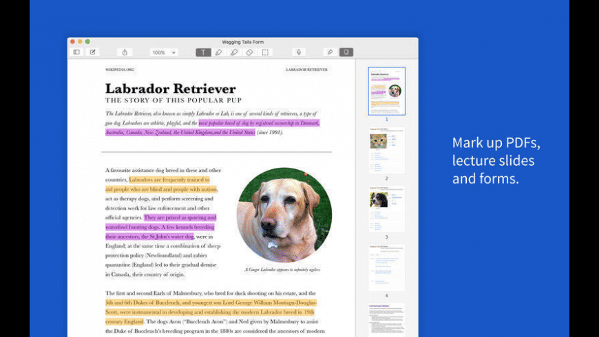 notability nofr pdf annotation