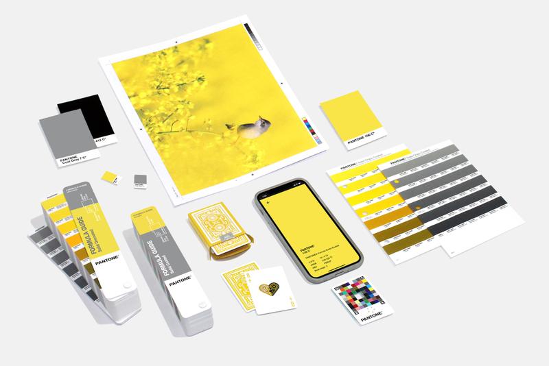 How Pantone 2021 Colors Of The Year Will Impact Creatives - GoVisually