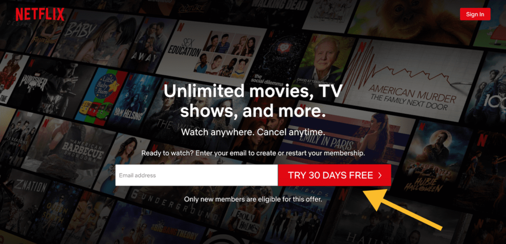 netflix-landing-page-design