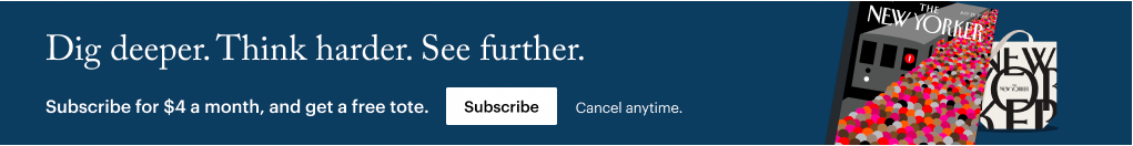 new-yorker-banner-ad-on-website