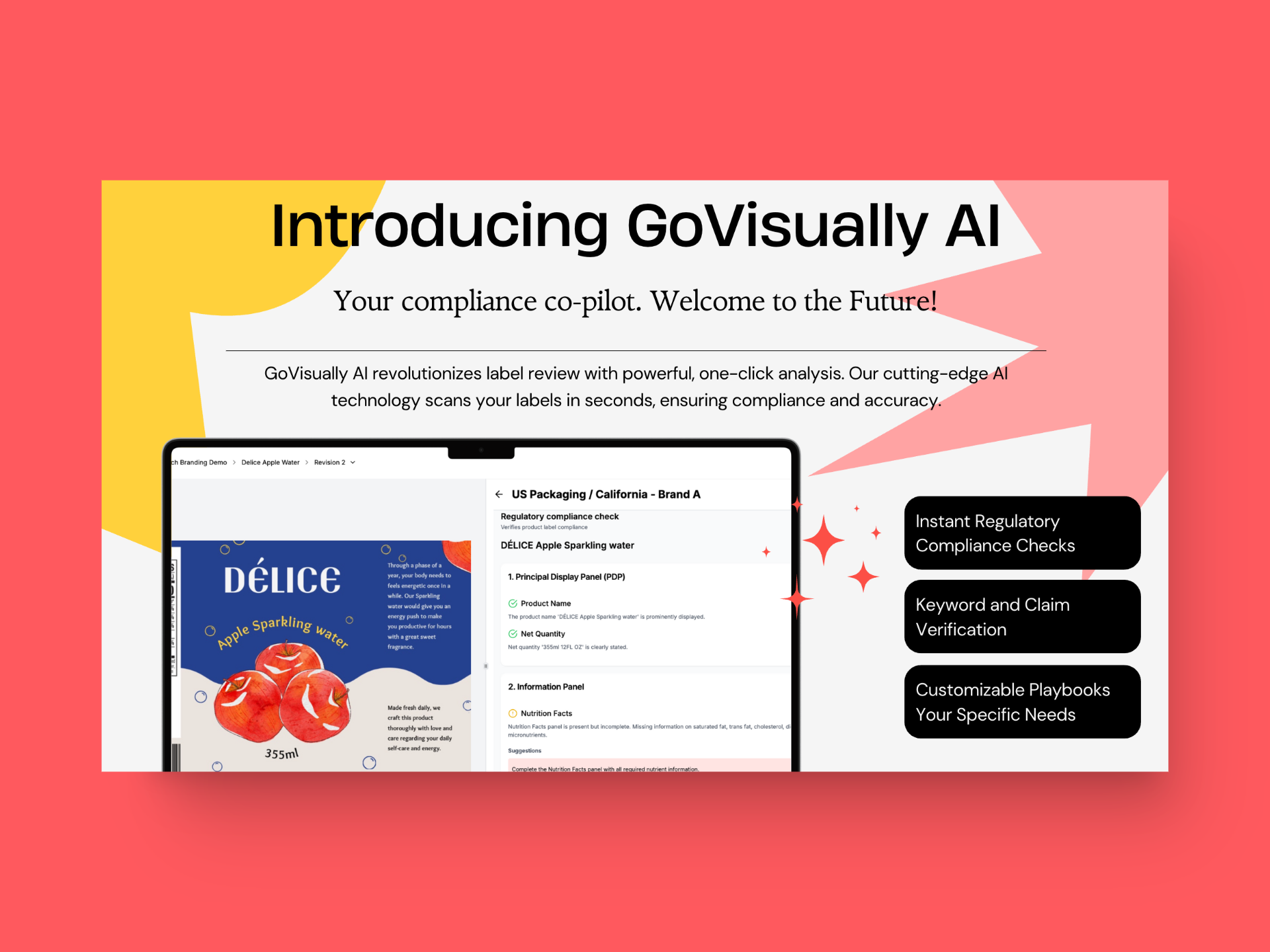 GoVisually's AI Compliance