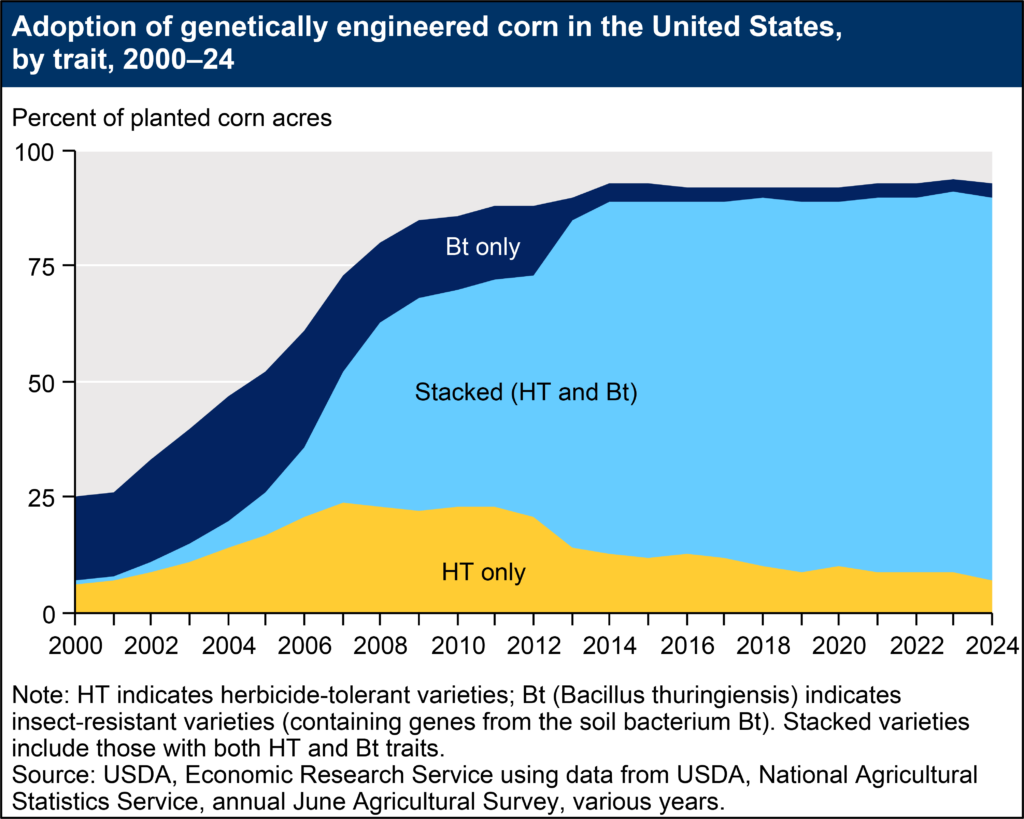 adoption of GE corn in US